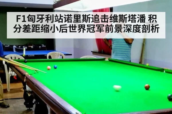 F1匈牙利站诺里斯追击维斯塔潘 积分差距缩小后世界冠军前景深度剖析